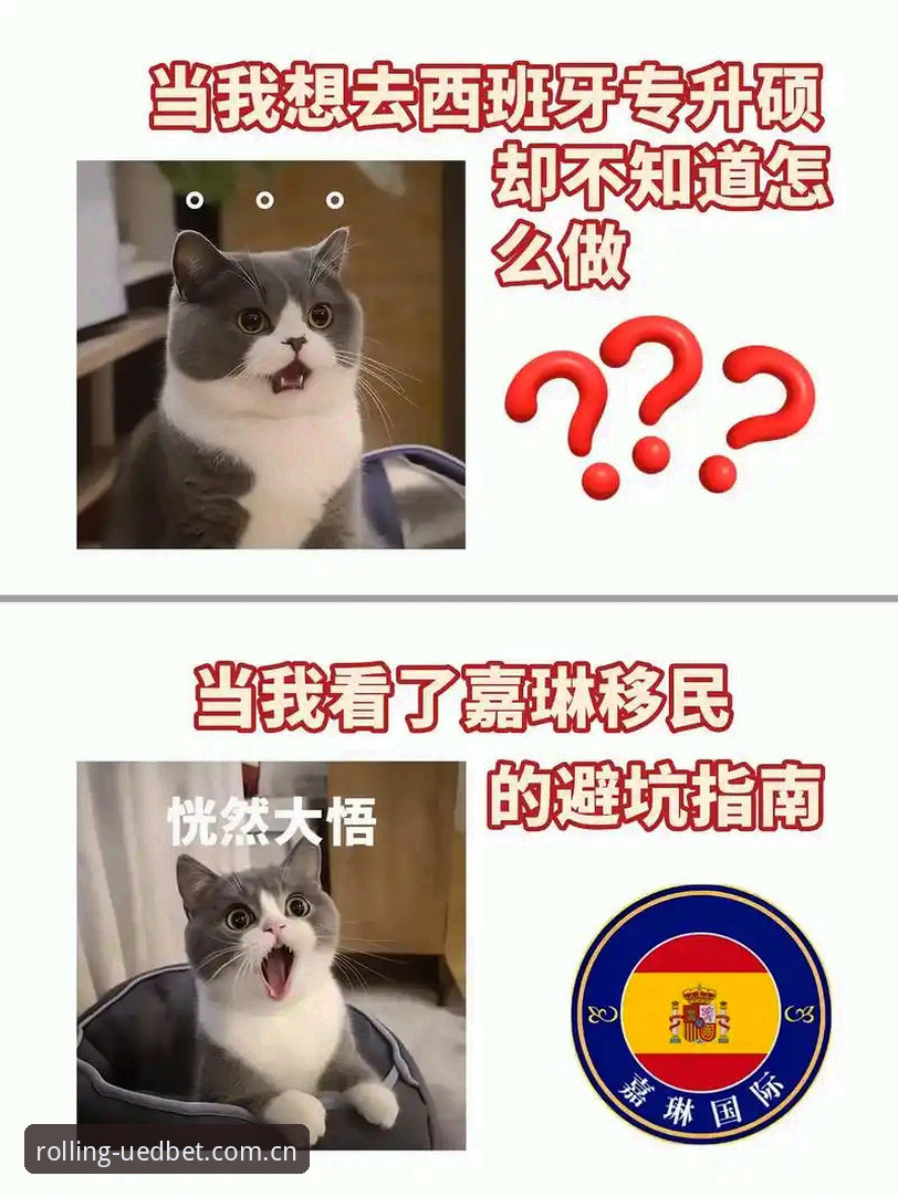 为什么安卓熟悉的赛场节奏APP下载最新版总让人走弯路？避坑指南来了